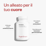 Berberine Max Bioactivity Supplement – 60 Capsules