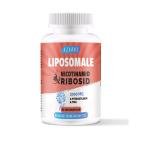 Liposomale Nicotinamid Ribosid 2000 mg + Pterostilbene + TMG